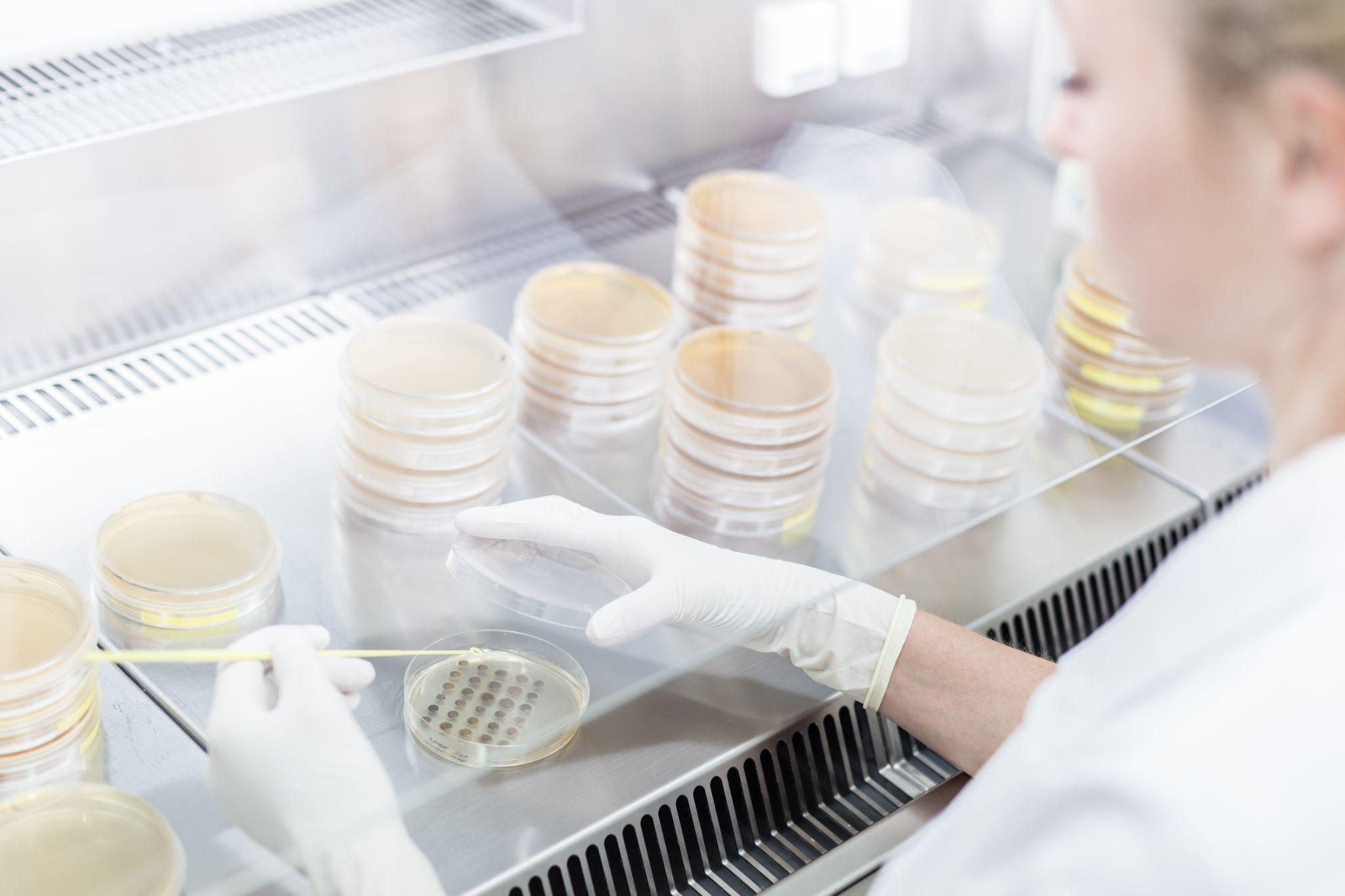 Culture dishes and laboratory research from the Reagenics presentation